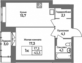 1 комнатная квартира 43.3 кв.м.