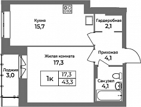 1 комнатная квартира 43.3 кв.м.