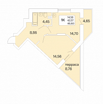 1-комнатная квартира с террасой 46,60 м2 ЖК «Дом на Шамшиных»