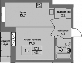 1 комнатная квартира 43.4 кв.м.